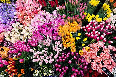 《绝地求生：New State》预告片泄露 11月11日全球上线